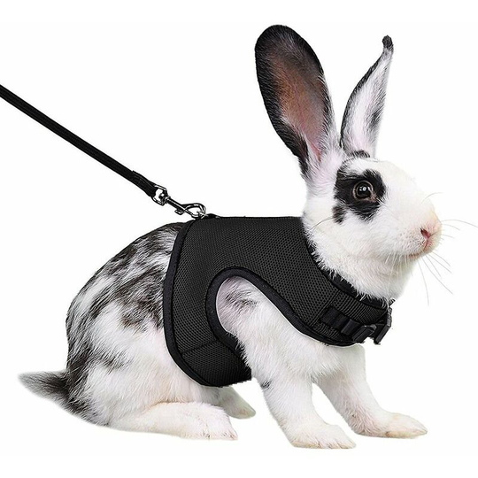 Harness for Rabbits Guinea Pigs Small Animals with Elastic Leash Soft Vest for Walking (l, Black)