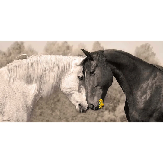 Loving Horses Desk Pad