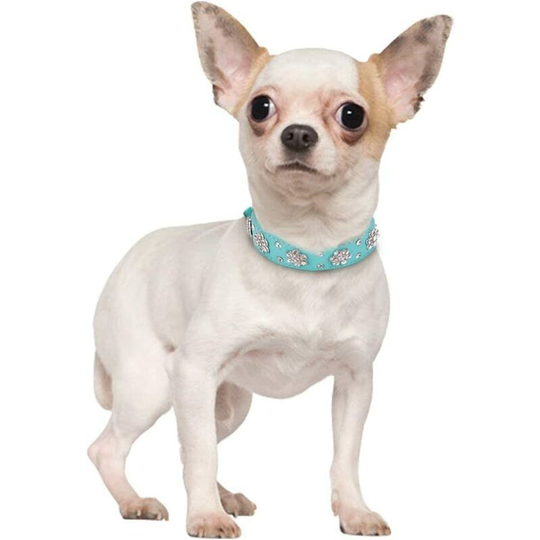 Faux leather dog collar with rhinestones and flowers - Adjustable sizes: s - blue