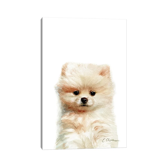 Pomeranian Puppy by Watercolor Luv - Wrapped Canvas Painting