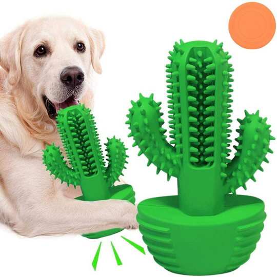 Dog Toy, 360° Dog Brush Puppy Toy, Teeth Care Bone Dog Chew