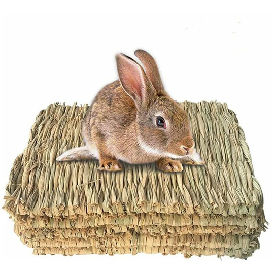 Perle Rare - Hand-woven Natural Grass Mat for Small Pet Chew Toy Bed for Hamster, Pig, Rabbit and Parrot - 5 Pieces