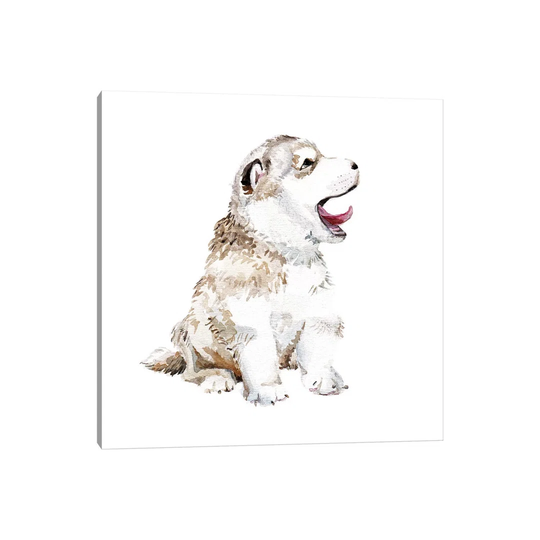 Happy Husky Puppy by - Wrapped Canvas Painting