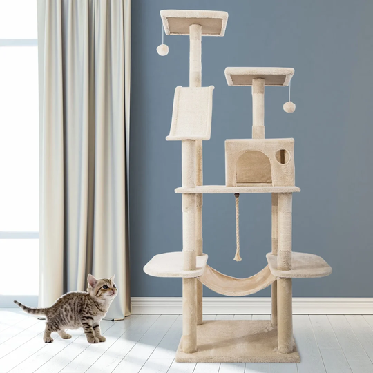 170Cm Abble Cat Tree