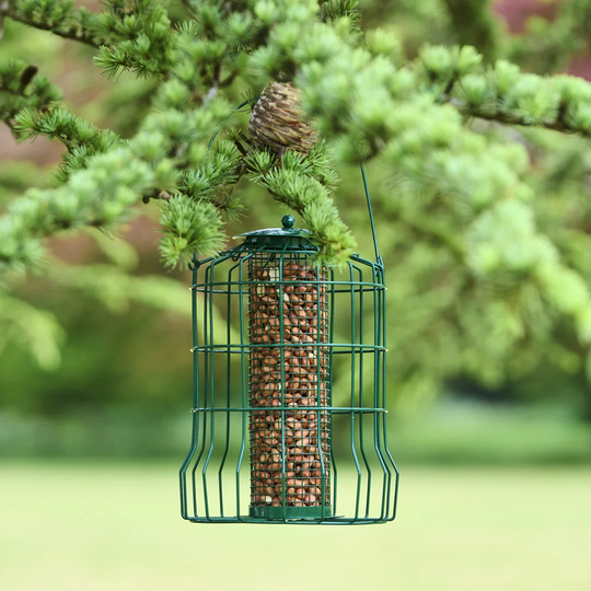 Akimi Tube Bird Feeder