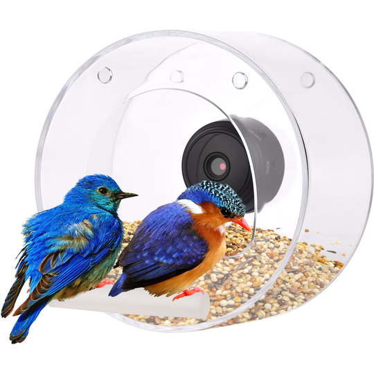Superseller - Clear Window Bird Feeder with Wifi Camera Suction Cup, Smart Transparent Round Birdfeeder, with Camera - with Camera