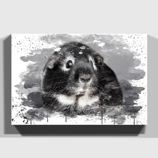 'Guinea Pig' Graphic Art Print