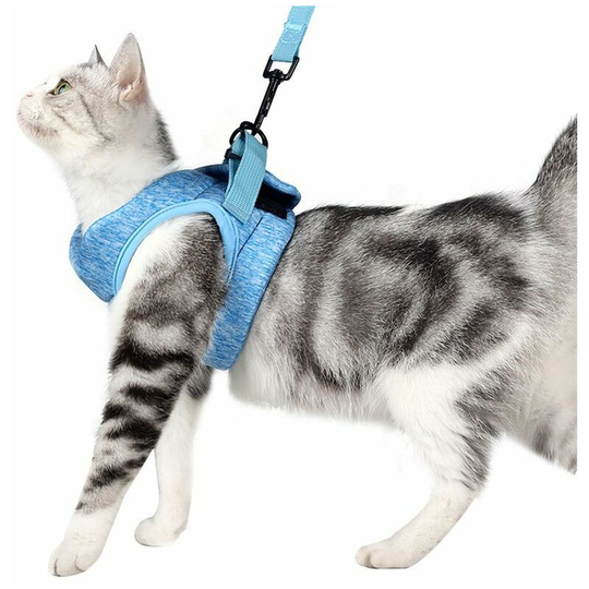 Cat Harness and Leash Set Anti-Escape, Adjustable and Padded with Running Padding, Comfortable Outdoor Jacket for Kitten, Puppy, Rabbit (s, Blau)