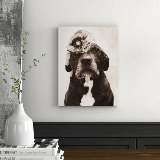 Loki S Kitten Photographic Print