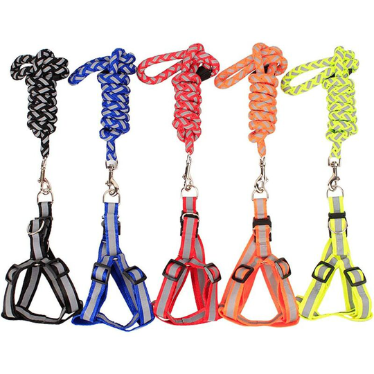 Bearsu - Reflective Pet Dog Leash Harness Set Woven Polyester Reflective Dog Training Leash Adjustable Dog Harness Night Safety for Small Medium Dog