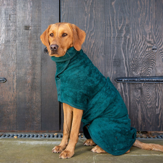 For Dog Hooded Coat Pet Hooded Clothes Warm for Small Dogs Winter Clothes
