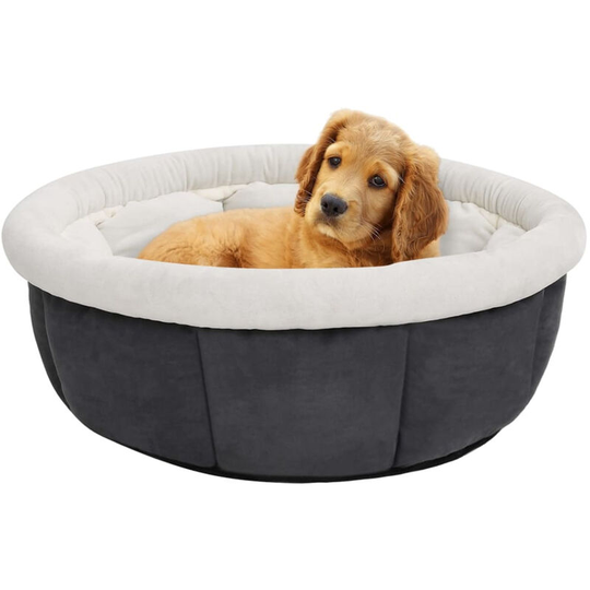 Dog Bed 50x50x22 cm Grey