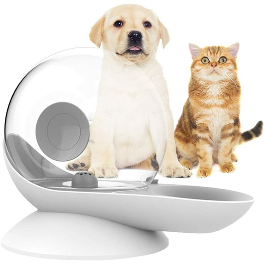 Joorrt - Dog Water Dispenser, Cat Gravity Drinker, Snail Shape, Automatic Cat Water Fountain, Dog Water Bowl Dispenser - Easy to See Water Level