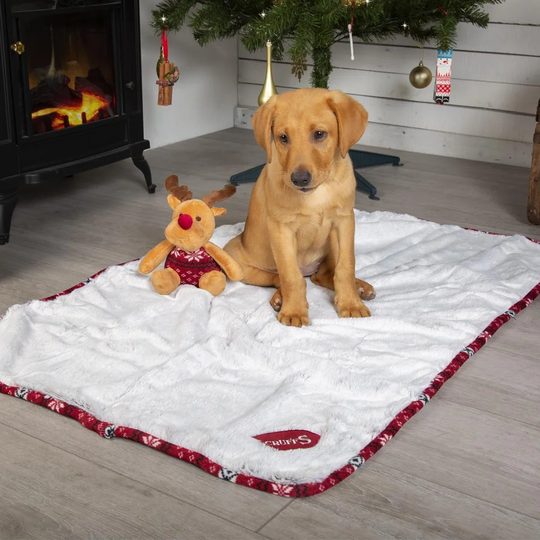 Scruffs Santa Paws Blanket & Reindeer Gift Set
