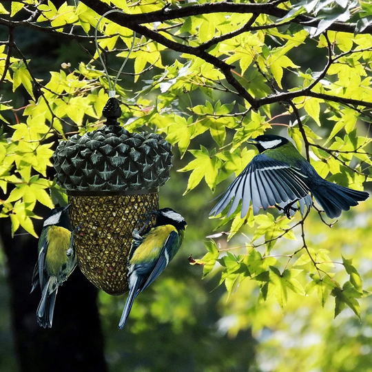 Acorn Bird Feeder