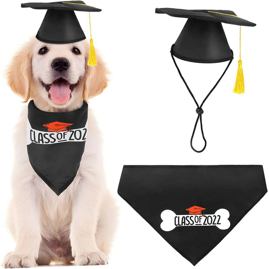 Pet Graduation Cap Headscarf for Dog, Decorative Pet Costume for Dog