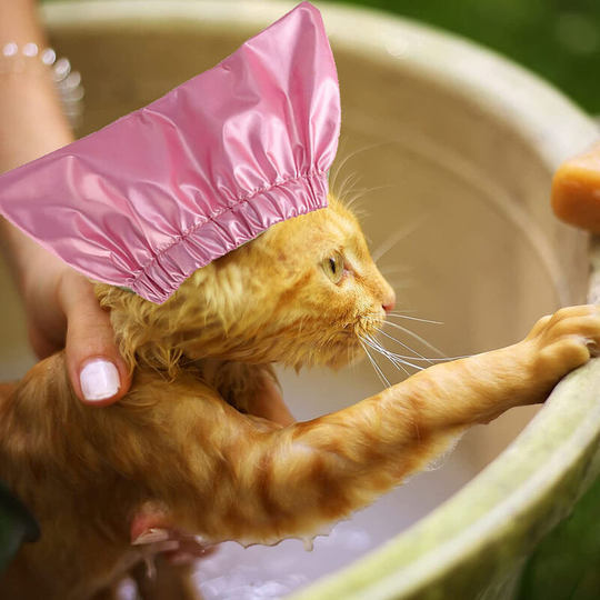 Pet Shower Cap Waterproof Hat: Shower Dog Ear Covers Overhang Pet Bath Ear Protection Shower Cats Ear Drops Guard for Puppy Kitten Small Pets Bath