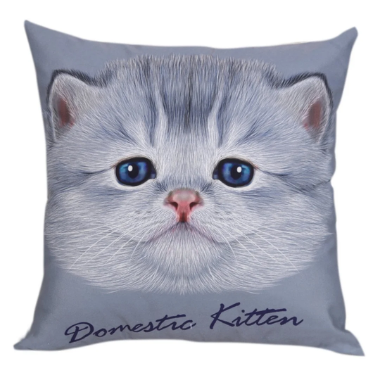 Ratcliffe Domestic Kitten Face 45.72Cm Scatter Cushion Cover