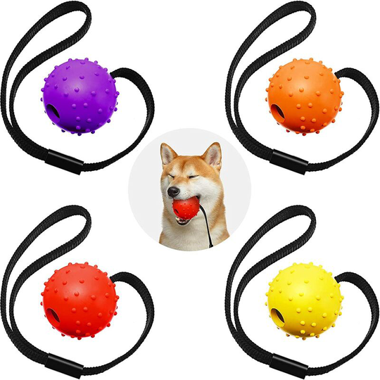 Dksfjkl - 4 Pieces Dog Ball on a Rope Interactive Dog Training Ball Toy Ball on a Rope Dog Reward and Exercise Toy for Small Medium Large Dogs,