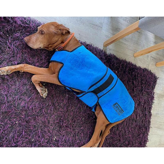Easidri - Cooling Coat - Large - ?????????