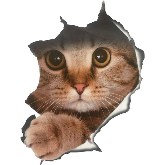 Ilovemilan - 3PCS 3D Wall Stickers Cats Self Adhesive, Kids Wall Decals/Removable Vinyl Art Murals for Living Room Baby Rooms Bedroom Toilet House