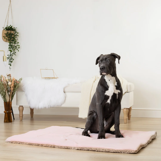Hume Pet Mat in Brown