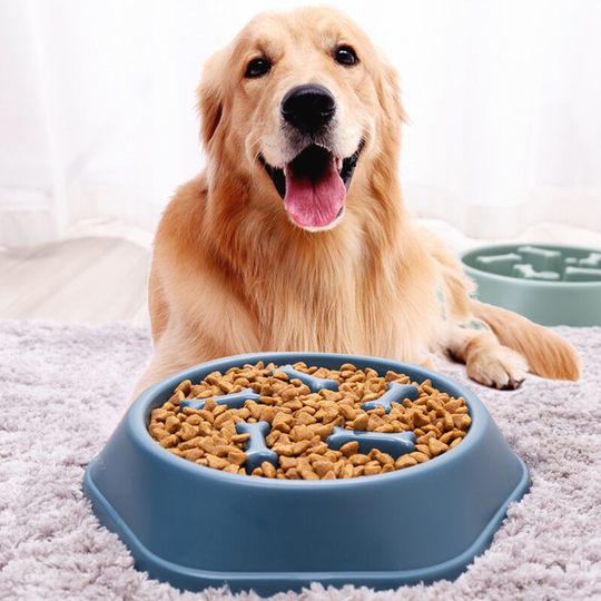 Anti Glutton Dog Bowl Slow Feeding Bowl with Non-Slip Base Promotes Healthy Eating and Slow Digestion (Large Blue, Maze)