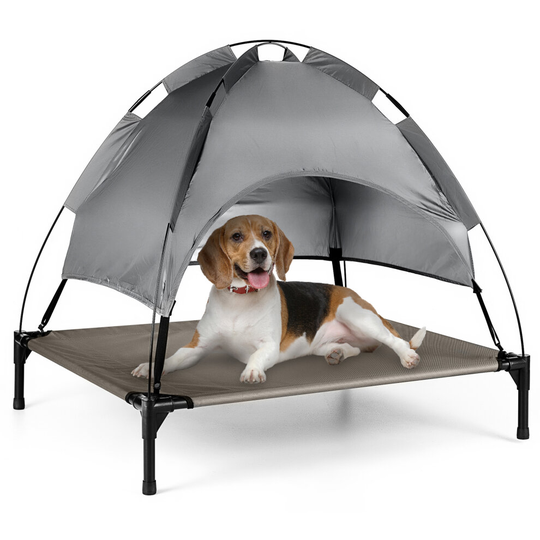 Elevated Pet Dog Bed Premium L Roof Canopy Cot Portable Raised Washable Camping