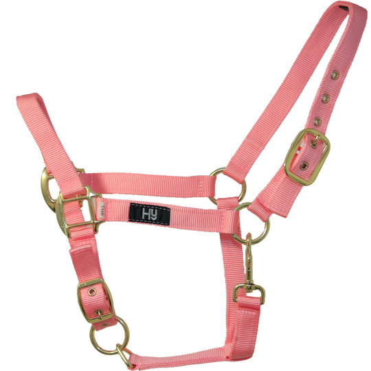Hy Head Collar (Cob) (Baby Pink) - Baby Pink