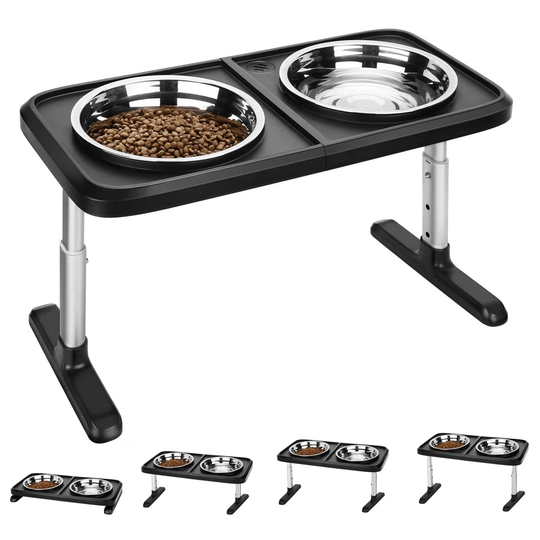 Brecksville 4 Height Adjustable Elevated Feeder