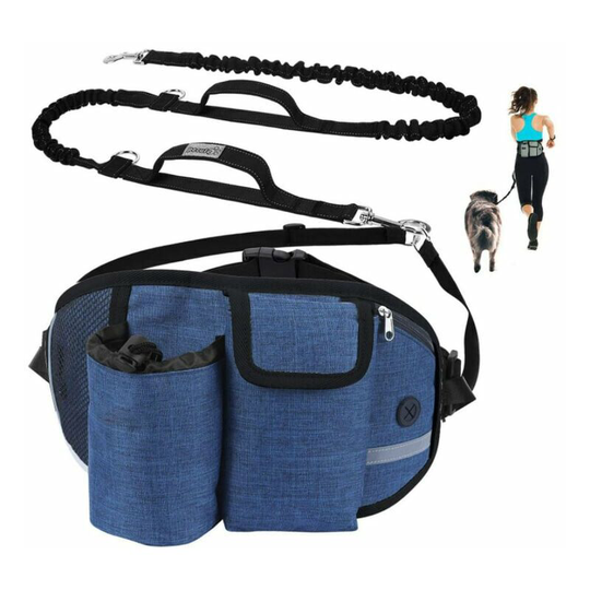 Monly - Dog Leash Hands Free Dog Leash Up to 110kg Shock Absorption, Comfortable, Reflective Stitching, Ideal for Running, Jogging and Walking (Blue)