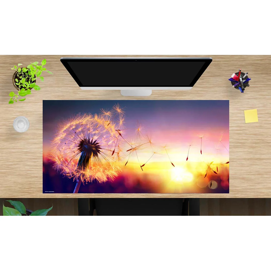 Dandelion in Sunlight Desk Pad