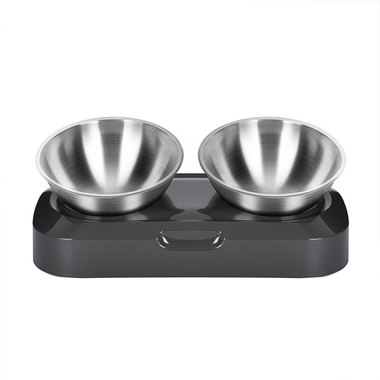Stainless Steel Raised Cat Dog Bowl, 480ml x2 Double Bowl for Cat & Dog Feeding, Non-Slip No Spill