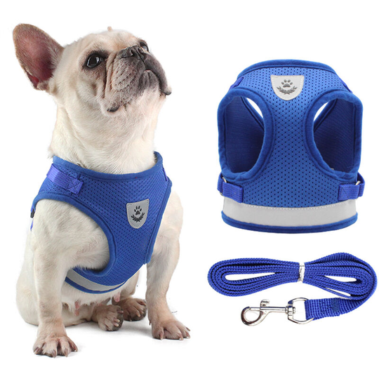 Dog Harness and Leash Set Reflective Adjustable Mesh Vest for Small Dogs Puppy Cats - Blue,Small