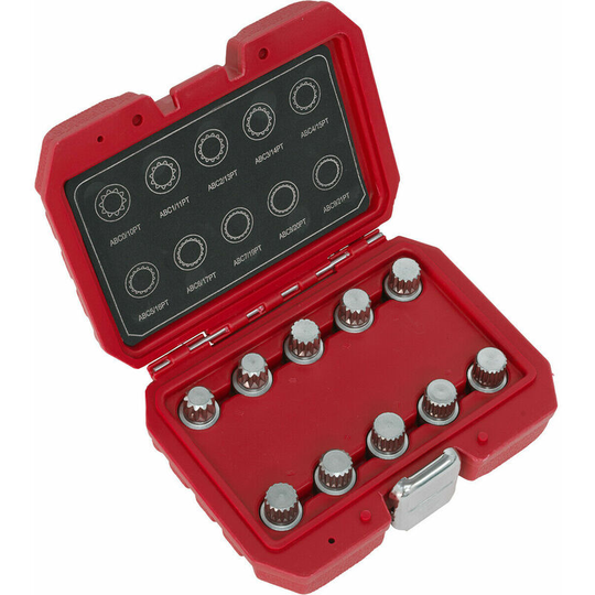 10pc Locking Wheel Nut Key Set - dealers & repair centres only - For vw Vehicles