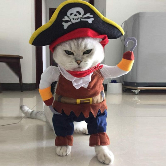 Halloween Costumes Dog Cat Small Pirate Cosplay Clothes (s)