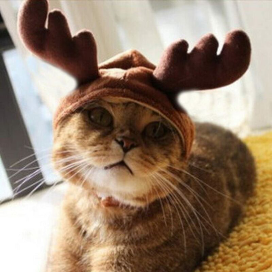 Christmas woodland animal costume cat doggy cap pet clothes hat