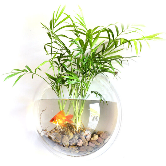 Home Decoration Wall Mount Fish Tanks Flower Vase, 230mm diameter & type 2 - 230mm diameter & type 2