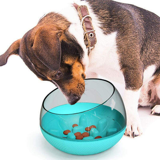 Basic Dog Bowls Slow Feeding Bowl Anti-Slip Design Fun Feeder Blue