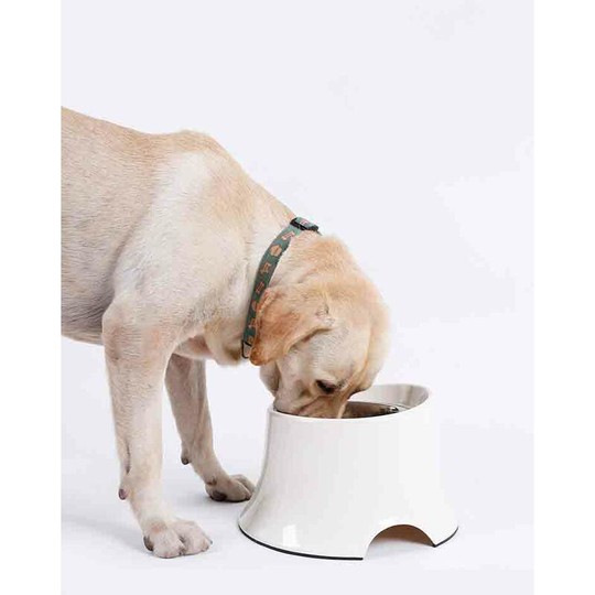 Thsinde - Large Dog Food Bowl Anti Spill Dog Rice Bowl Size m White