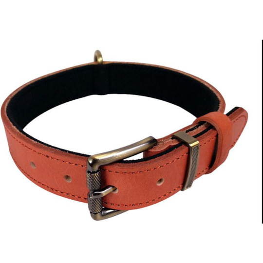Adjustable Dog Collar Soft Cushion Padded Leather with Hole Punch 3 Color 4 Sizes, Orange(S:2.0*29-37cm)