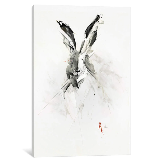 'Mr. Rabbit' Graphic Art on Wrapped Canvas