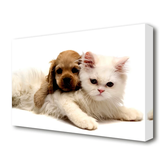 Puppy and Kitten Love Wildlife - Wrapped Canvas Photograph Print