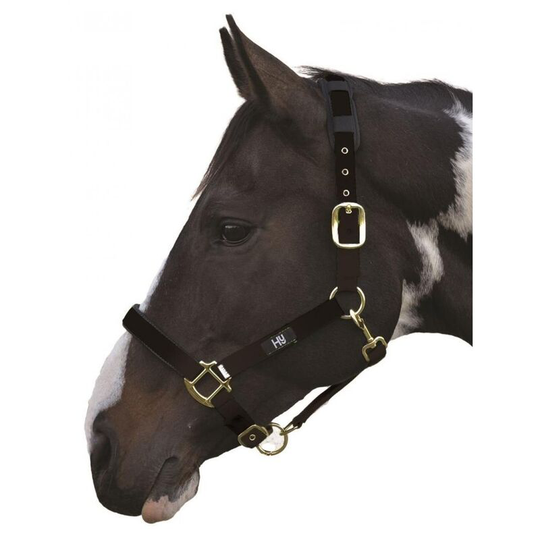 Hy Deluxe Padded Head Collar (Pony) (Black) - Black