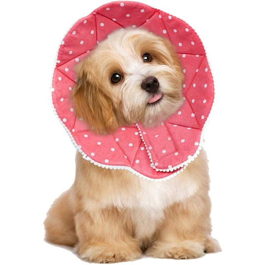 Perle Rare - Comfy Cone - Comfortable post-surgery collar for cats and dogs, sturdy, waterproof, scratch and bite resistant, easy to clean, with