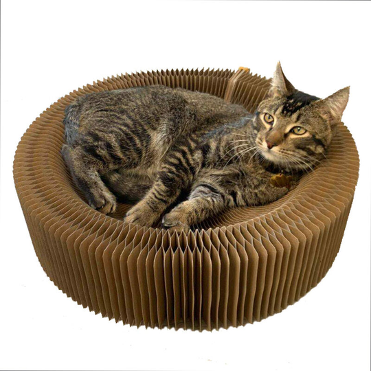 Pet Cat Scratcher Lounge Bed Collapsible Folding Corrugated Paper Deform Cat Scratch Board For Cat Bed Mat Kitten Toy Pet Supply