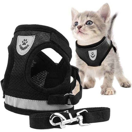 Echoo - Cat Harness, Cat Harness and Lead Set, Cat Leash and Harness Set, Cat Harness and Lead Set Escape Proof