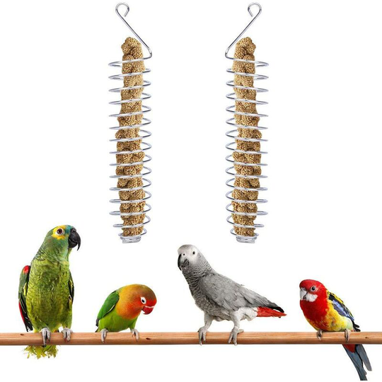 Pcs Parrot Food Skewer, Stainless Steel Fruit Feeder,25cm,Parrot Fruit Vegetable Meat Food Stick Holder Small Animal Hutch Cage Foraging Toy Parrots