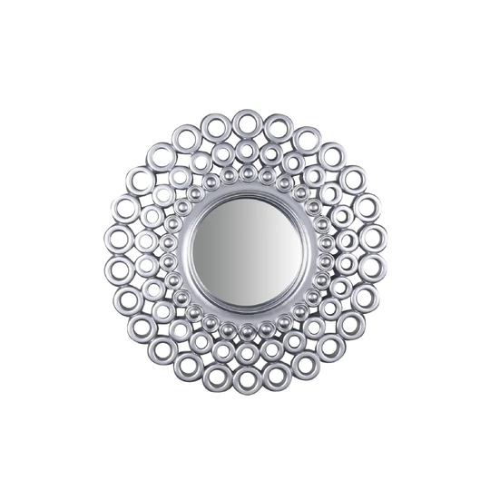 Bussard Framed Wall Mounted Accent Mirror