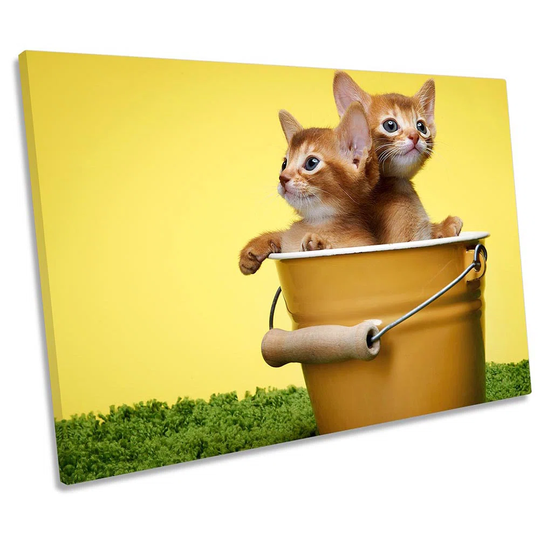 Cute Kitten Cats Bucket Wrapped Canvas Art Print